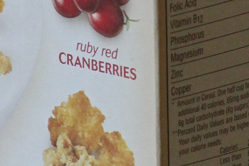 IMAGE: http://darmok.dyndns.org/cameratests201108/extendertests/test2-trade-aperture-for-iso/img_0385_200.0mm-500-f4.0-1600iso_middlecut829x552.jpg