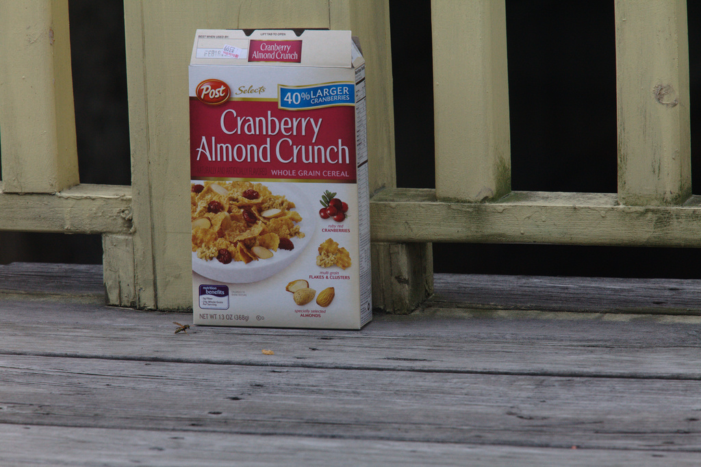 IMAGE: http://darmok.dyndns.org/cameratests201108/rawtests/colorcorrect/.medpics/5d2_img_0334_280.0mm-1000-f11.0-1600iso_fromraw_med.jpg