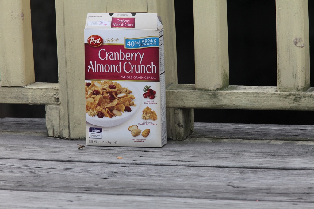 IMAGE: http://darmok.dyndns.org/cameratests201108/rawtests/colorcorrect/.medpics/5d2_img_0334_280.0mm-1000-f11.0-1600iso_med.jpg